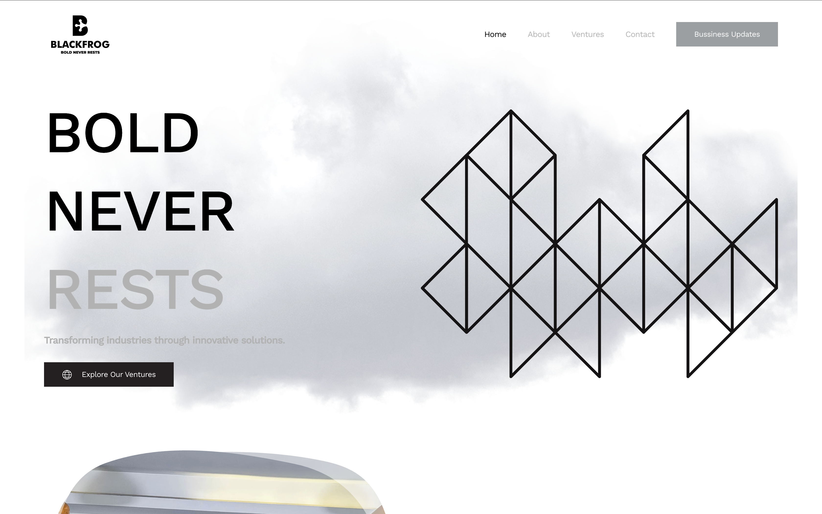 Black Frog company profile