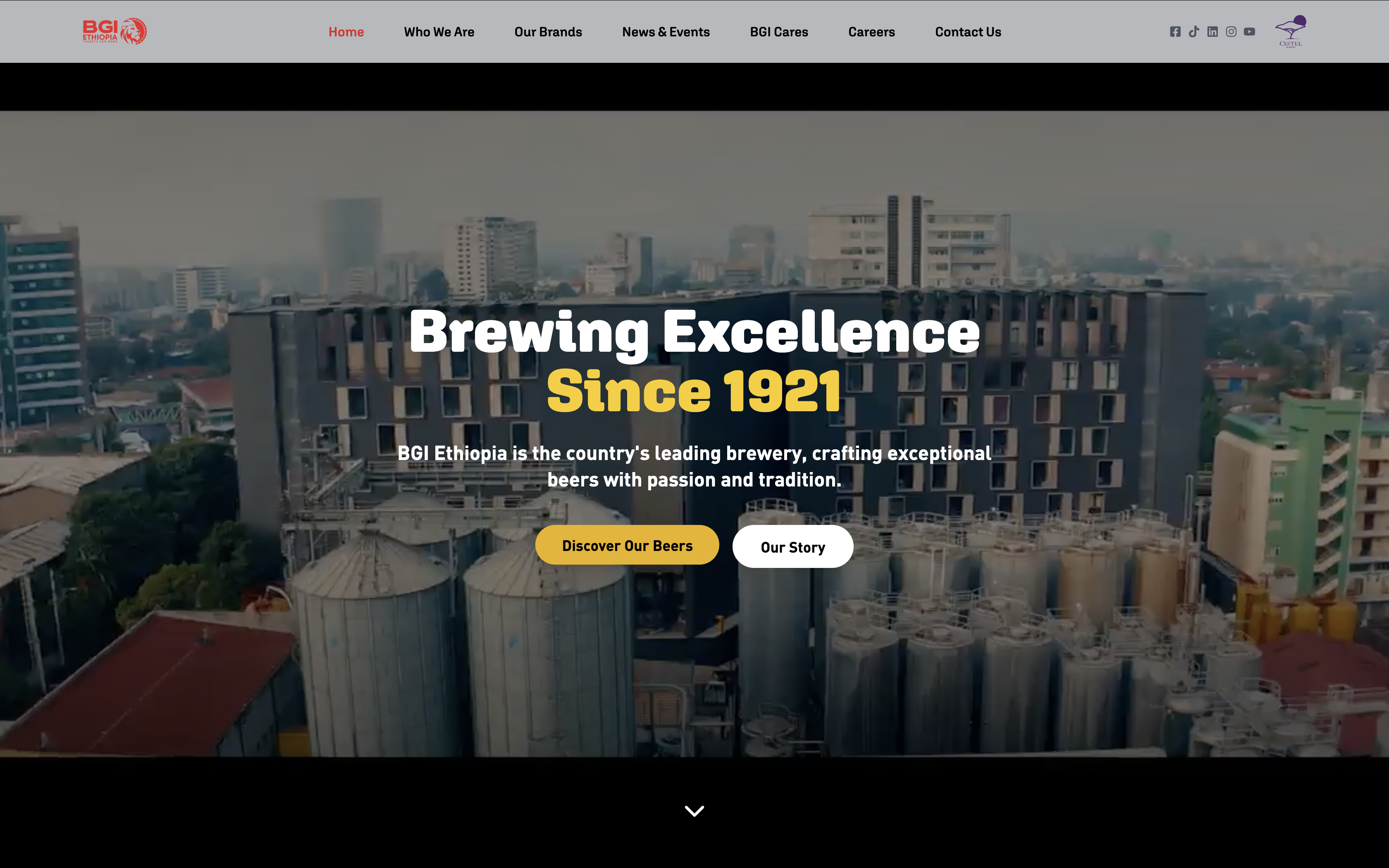 BGI Ethiopia company profile